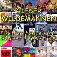 De Puinhopen van 30 jaar popmuziek